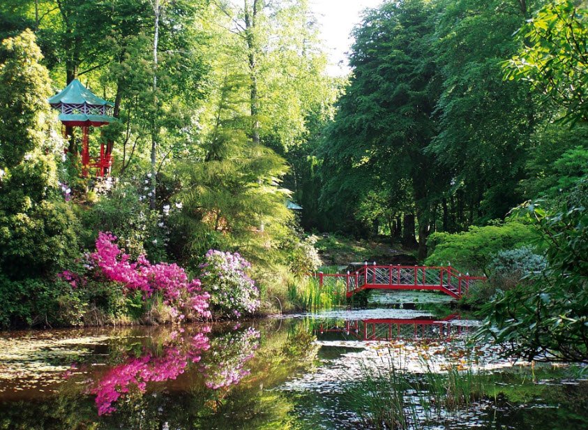 The Gwyllt, United Kingdom